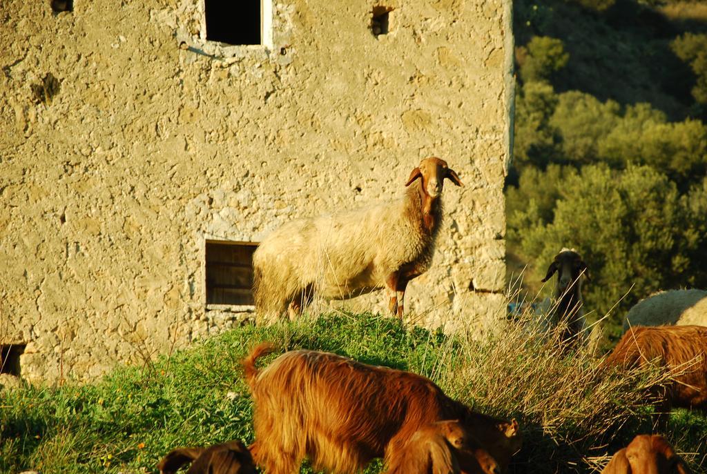 Hotel Experience Il Paesino Licodia Eubea Esterno foto